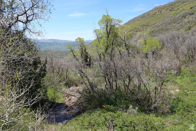 558 Mill Rd Unit 136, Huntsville, UT 84317