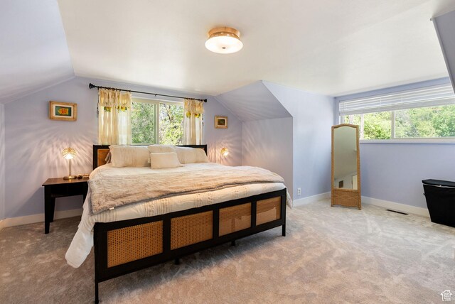 804 E 100 N, Logan, UT 84321 - bedroom featuring lofted ceiling, carpet flooring, and baseboards