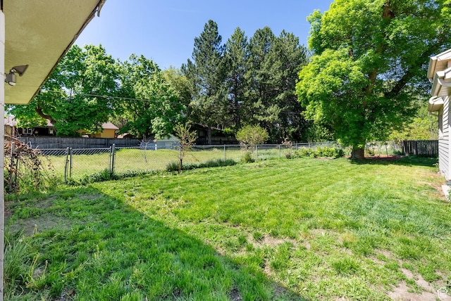 804 E 100 N, Logan, UT 84321 - view of yard