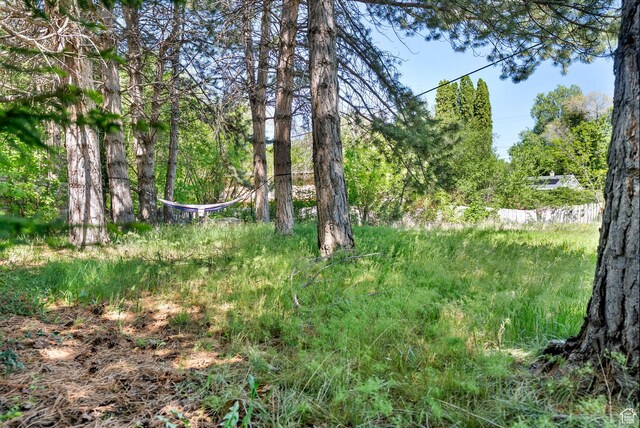 804 E 100 N, Logan, UT 84321 - view of nature