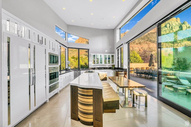 1203 Canyon Springs Rd, Springdale, UT 84767 - kitchen with stainless steel oven, a warming drawer, built in microwave, a towering ceiling, and recessed lighting