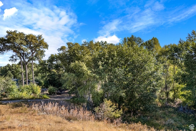 1115 S Bear Lake Blvd, Garden City, UT 84028 - photo 4
