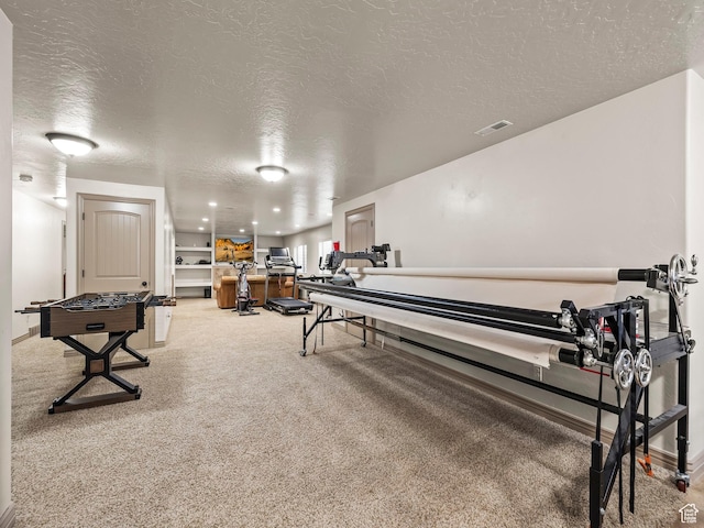 636 Quartz Dr, Santaquin, UT 84655 - miscellaneous room with a textured ceiling and carpet