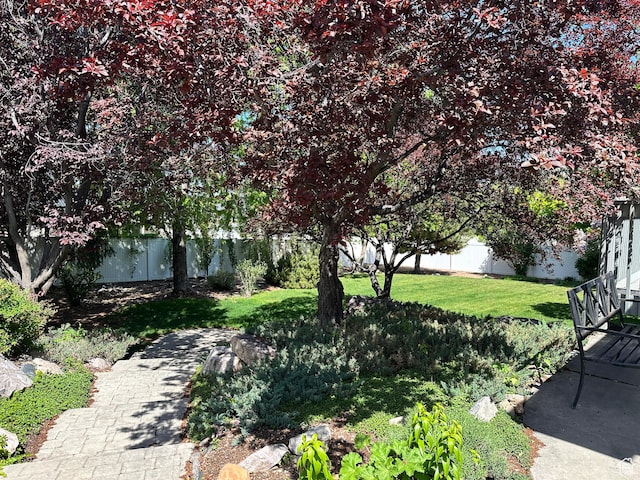2756 S 725 W, Perry, UT 84302 - view of yard