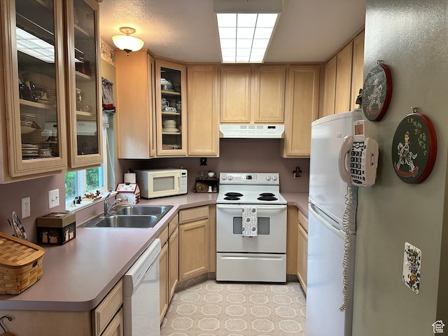 2756 S 725 W, Perry, UT 84302 - kitchen featuring under cabinet range hood, white appliances, a sink, light brown cabinetry, and light countertops