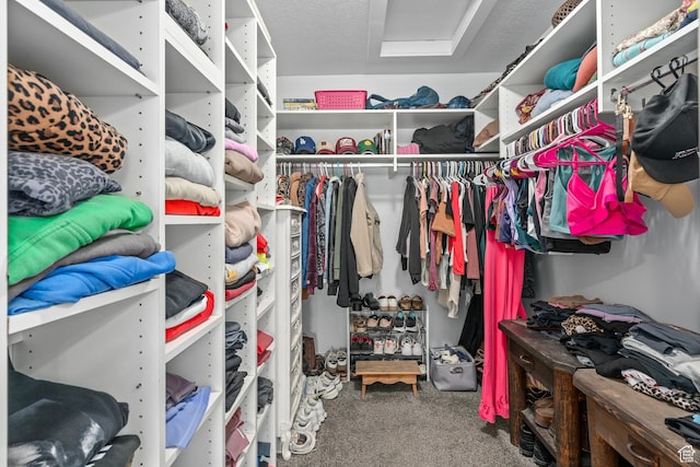 walk in closet featuring carpet