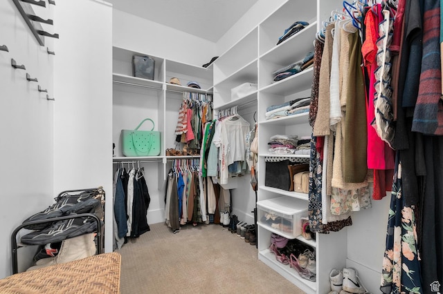 spacious closet featuring carpet