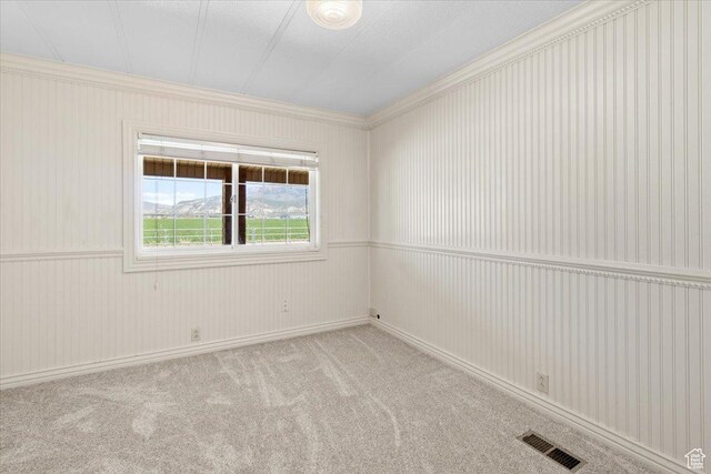 carpeted spare room featuring ornamental molding