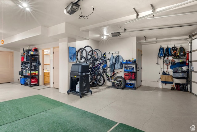 866 N Yarrow Cir Unit 38/39, Garden City, UT 84028 - garage featuring a garage door opener