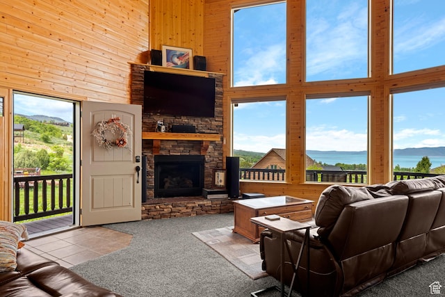 866 N Yarrow Cir Unit 38/39, Garden City, UT 84028 - tiled living room with wood walls, a high ceiling, a stone fireplace, and carpet