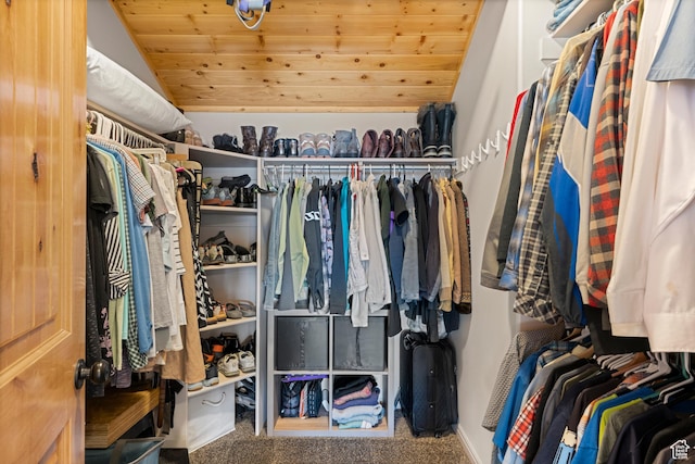866 N Yarrow Cir Unit 38/39, Garden City, UT 84028 - walk in closet featuring lofted ceiling and carpet flooring