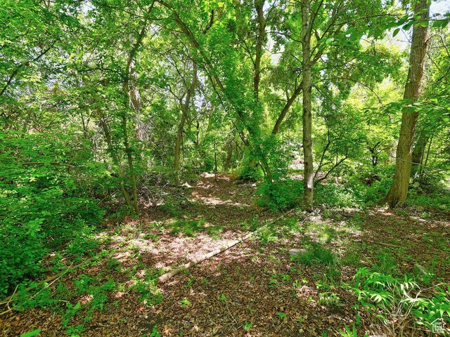 4150 N 444 W, Provo, UT 84604 - photo 22