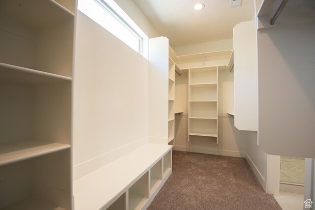 1699 N Siena Cir Unit 5, Pleasant Grove, UT 84062 - spacious closet featuring carpet floors
