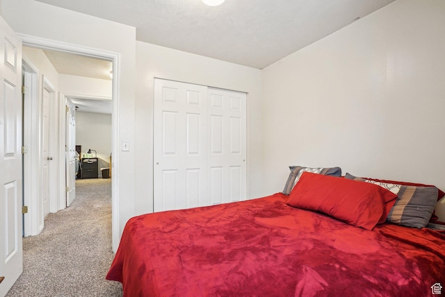 617 E 980 N, Tooele, UT 84074 - bedroom with carpet flooring and a closet