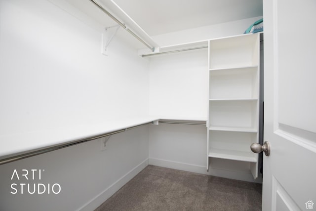 6637 W Terrace Sky Ln, West Jordan, UT 84081 - spacious closet featuring carpet