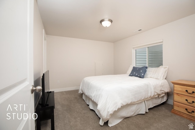 6637 W Terrace Sky Ln, West Jordan, UT 84081 - bedroom featuring carpet floors