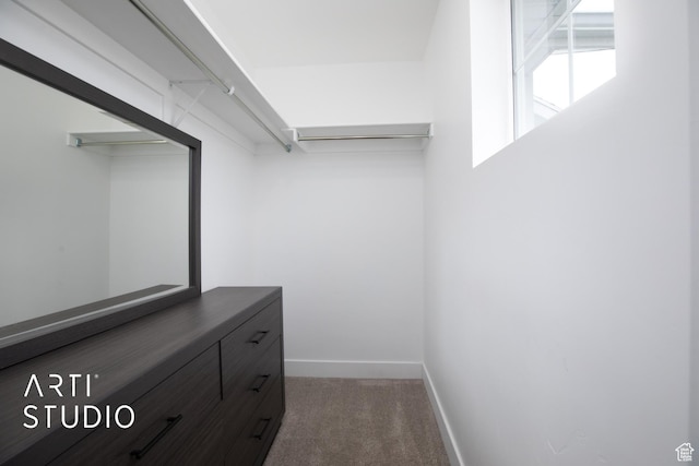 6637 W Terrace Sky Ln, West Jordan, UT 84081 - walk in closet with carpet