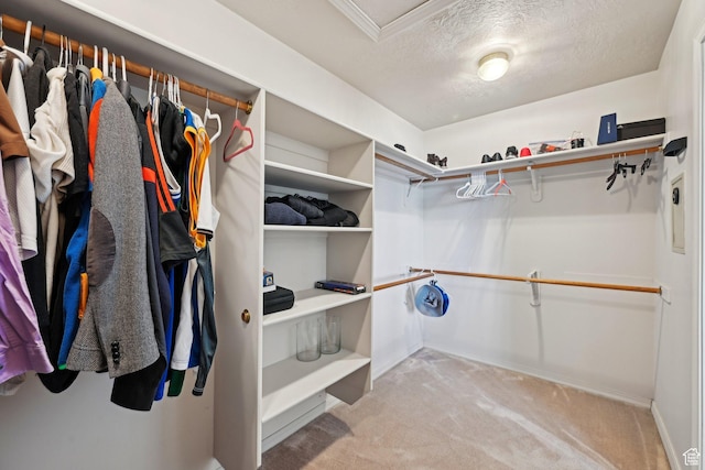 13994 S New Saddle Rd, Draper, UT 84020 - spacious closet featuring carpet floors and attic access