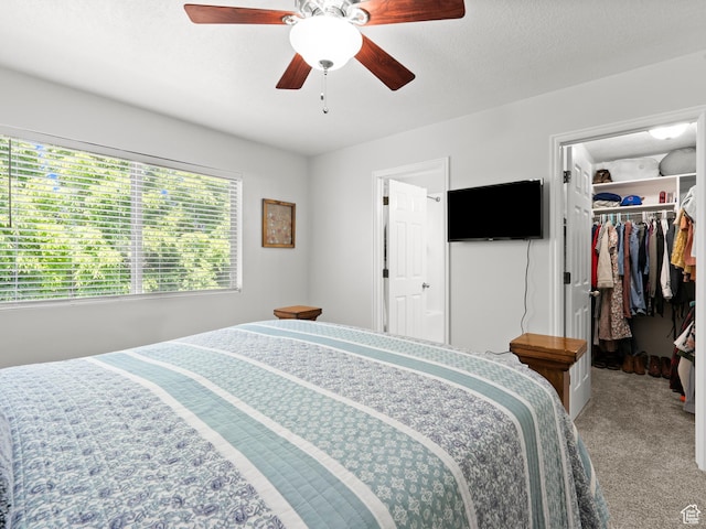 bedroom with carpet flooring, a spacious closet, ceiling fan, and a closet