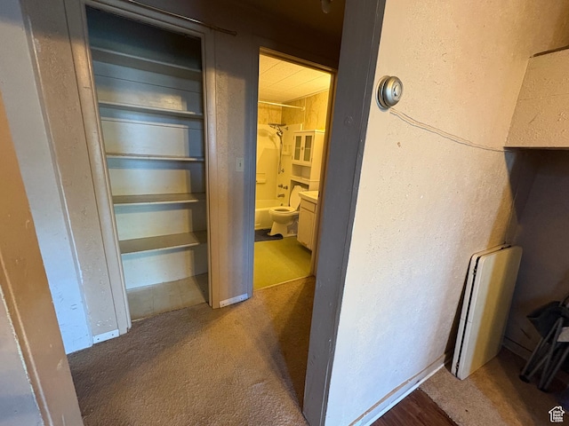297 E 470 S, Salina, UT 84654 - view of closet