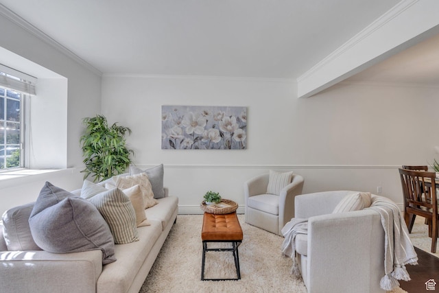 living room with ornamental molding