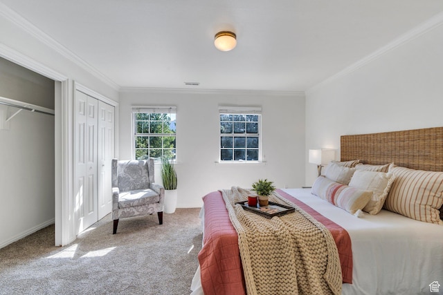 carpeted bedroom with ornamental molding, two closets, and baseboards