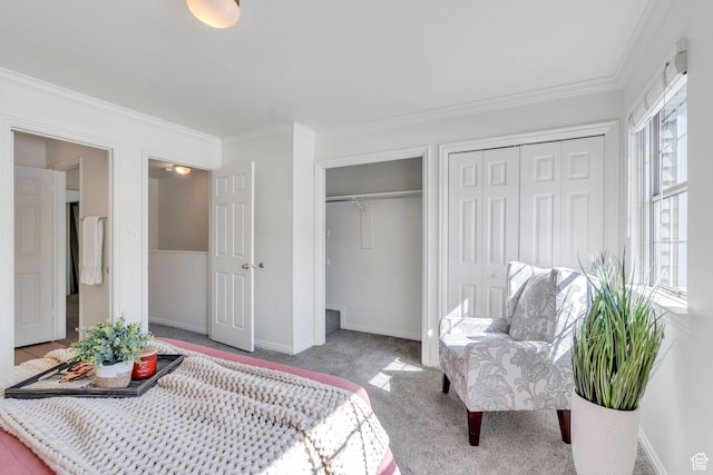 bedroom featuring two closets, carpet flooring, ornamental molding, and baseboards