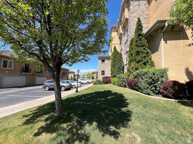 view of green lawn