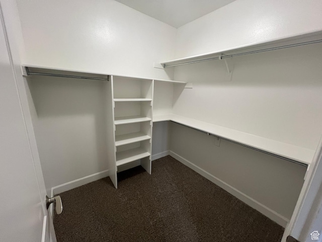 spacious closet with dark colored carpet