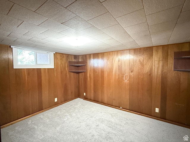 basement featuring wooden walls and carpet floors