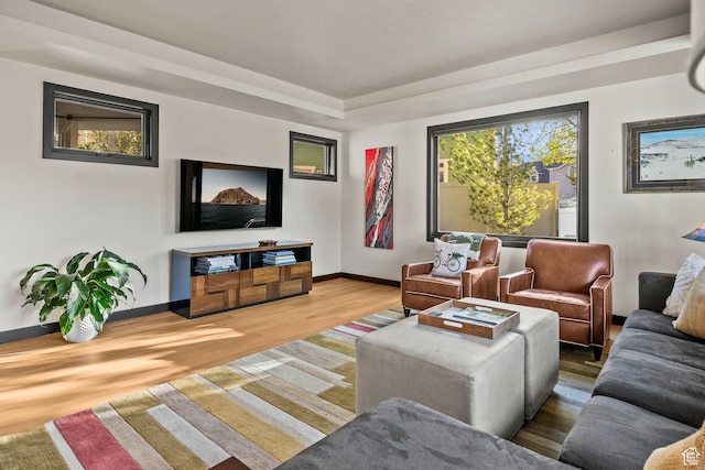 living area featuring wood finished floors and baseboards