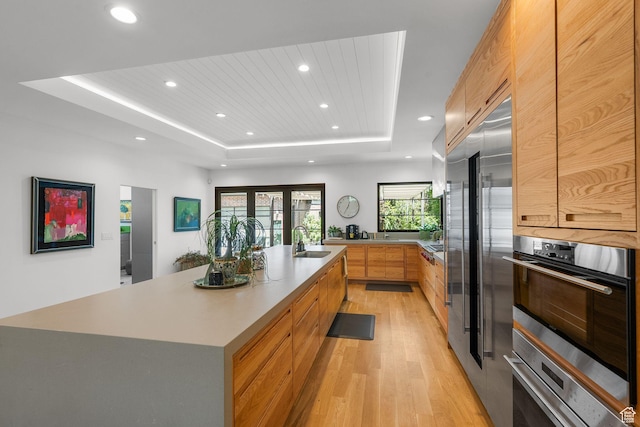 1863 E Hubbard Ave, Salt Lake City, UT 84108 - kitchen featuring modern cabinets, a sink, a tray ceiling, stainless steel appliances, and light wood-style flooring