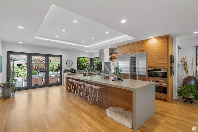 1863 E Hubbard Ave, Salt Lake City, UT 84108 - kitchen with stainless steel appliances, a tray ceiling, a sink, light wood-style flooring, and light countertops