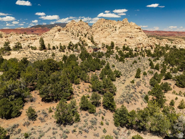 897 E Cocks Comb Dr, Teasdale, UT 84773 - photo 59