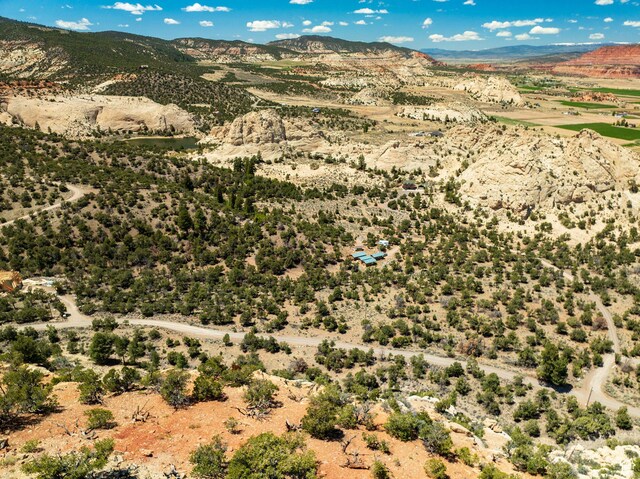 897 E Cocks Comb Dr, Teasdale, UT 84773 - photo 51