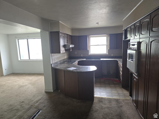 443 N 450 E, Orem, UT 84097 - kitchen with a peninsula, healthy amount of natural light, oven, light carpet, and a textured ceiling