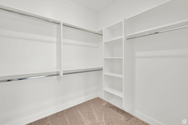 4491 N Seven Bridges Rd, Eden, UT 84310 - walk in closet with carpet floors