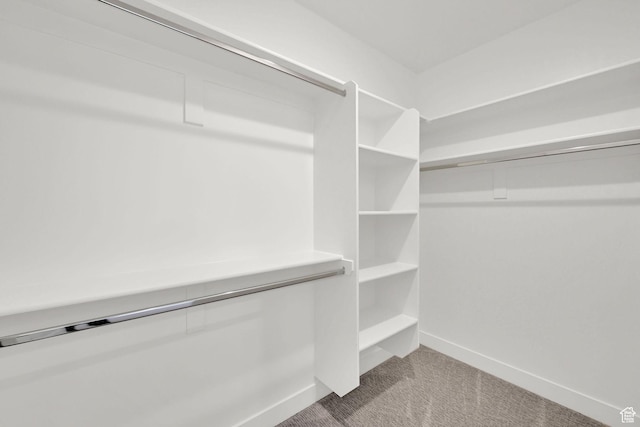 4491 N Seven Bridges Rd, Eden, UT 84310 - spacious closet with carpet flooring