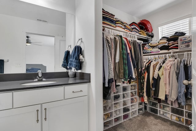 4013 W Cool Ave, Lehi, UT 84043 - walk in closet with a sink, ceiling fan, and carpet floors