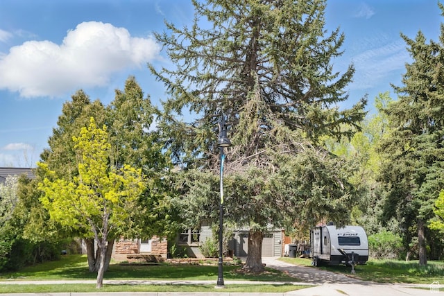 view of property hidden behind natural elements featuring a front lawn