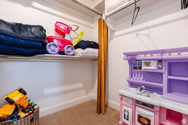 273 N Puerta Dr W, Washington, UT 84780 - view of storage