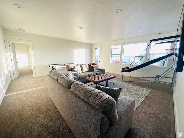 39 W Tamarind Way, Garden City, UT 84028 - carpeted living room with baseboards and a textured ceiling