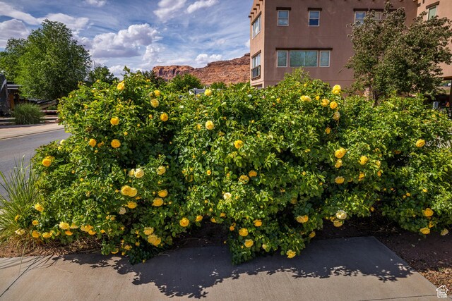 1261 N Main Rubicon Trl Unit M18, Moab, UT 84532 - photo 11