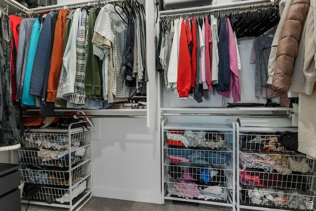 view of walk in closet