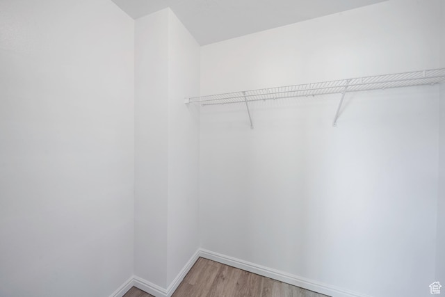 1957 N 2225 W, Clinton, UT 84015 - walk in closet with light wood-style floors
