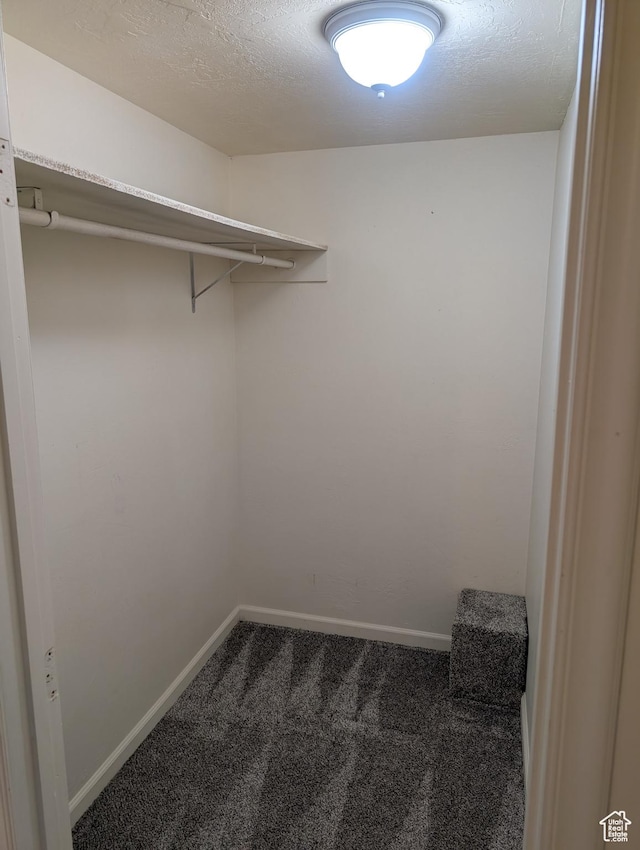 spacious closet with carpet