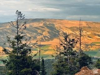 Tabiona, UT 84072