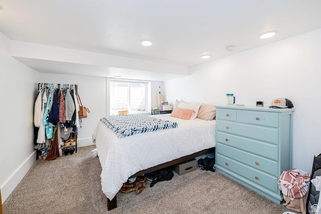 141 W 400 N, Logan, UT 84321 - bedroom featuring carpet, recessed lighting, and baseboards