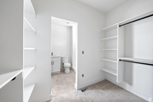 295 N 1580 W Unit 101, Pleasant Grove, UT 84062 - spacious closet with light carpet and a sink