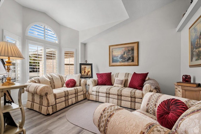10539 S Haven View Ct W, South Jordan, UT 84095 - living room featuring light wood finished floors and high vaulted ceiling